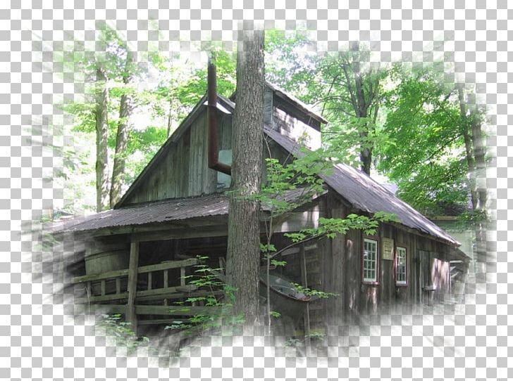 Tree Cottage Cabane PNG, Clipart, Building, Cabane, Cansu, Cottage, Dag Free PNG Download