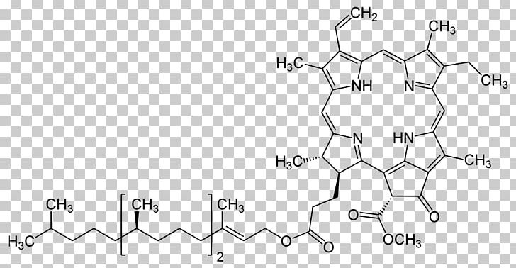 Chlorophyll A Porphyrin Bacteriochlorophyll Photosynthesis PNG, Clipart, Angle, Area, Auto Part, Biological Pigment, Black And White Free PNG Download