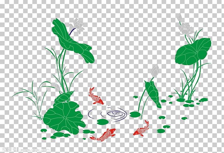 Common Carp Nelumbo Nucifera Pond PNG, Clipart, Aquatic Plant, Branch, Chinese Style, Fish Play Lotus, Flower Free PNG Download