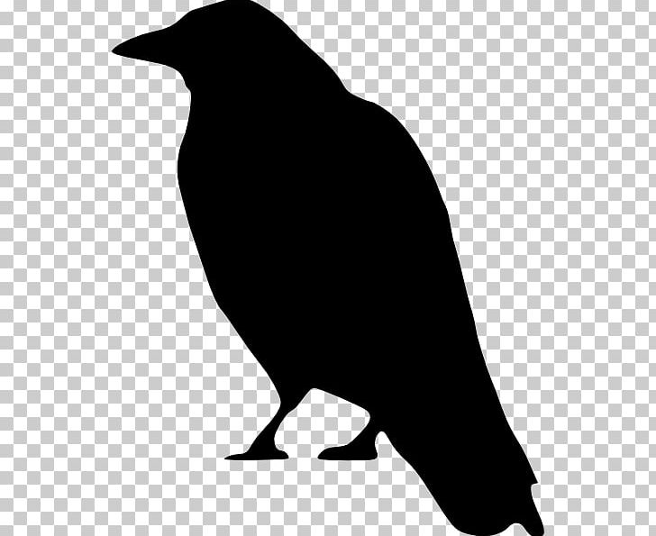 Crows PNG, Clipart, Art, Artwork, Beak, Bird, Black And White Free PNG Download