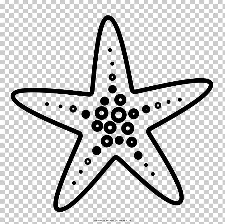 Starfish Drawing Coloring Book Doodle PNG, Clipart, 86dos, Animal, Animals, Black And White, Coloring Book Free PNG Download
