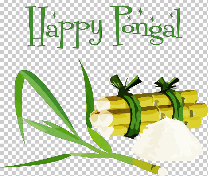 Pongal Thai Pongal Harvest Festival PNG, Clipart, Carrot, Fruit, Granulated Sugar, Harvest Festival, Healthy Diet Free PNG Download