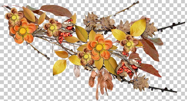 Autumn Leaf Plant Branch Season PNG, Clipart,  Free PNG Download