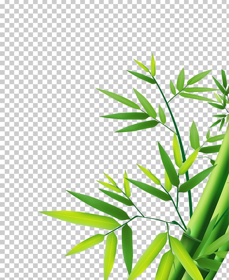 Bamboo Bamboe PNG, Clipart, Angle, Bamboe, Bamboo, Bamboo 19 0 1, Bamboo Border Free PNG Download
