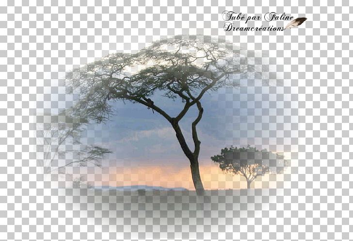 Création Graphique Landscape Photography Faline Desktop PNG, Clipart, Africa, Book, Branch, Computer, Computer Wallpaper Free PNG Download