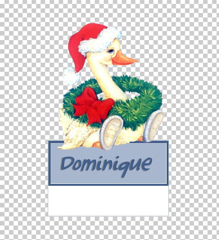 Duck Goose Cygnini PNG, Clipart, Apartment, Beak, Christmas, Christmas Ornament, Convite Free PNG Download