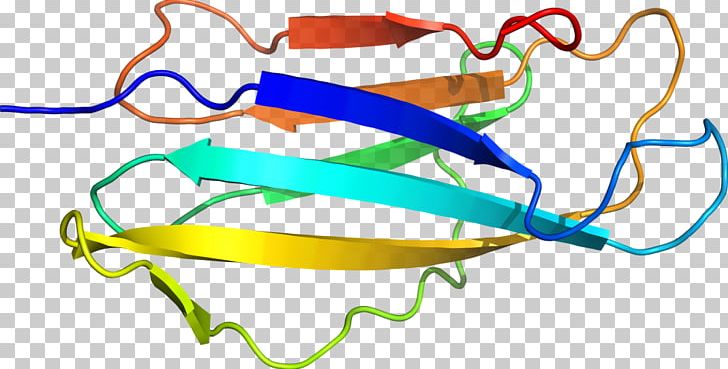 Goggles Line PNG, Clipart, Area, Art, Beta2 Microglobulin, Eyewear, Fashion Accessory Free PNG Download