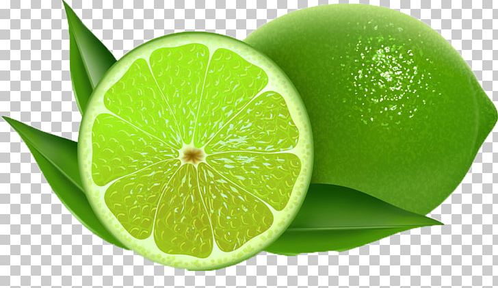 Lemon Persian Lime Key Lime PNG, Clipart, Citric Acid, Citron, Citrus, Diet Food, Drawing Free PNG Download
