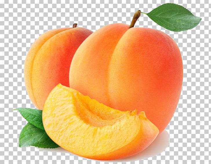 Marmalade Apricot Flavor Fruit Preserves Balsamic Vinegar PNG, Clipart, Apricot, Apricot Kernel, Apricot Oil, Aroma Compound, Balsamic Vinegar Free PNG Download
