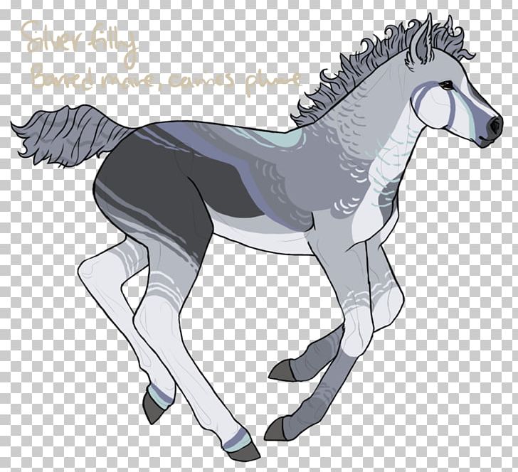 Mule Foal Stallion Colt Mane PNG, Clipart, Bridle, Cartoon, Colt, Donkey, Fictional Character Free PNG Download
