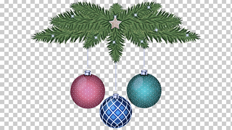 Christmas Ornament PNG, Clipart, Arecales, Branch, Christmas, Christmas Decoration, Christmas Ornament Free PNG Download