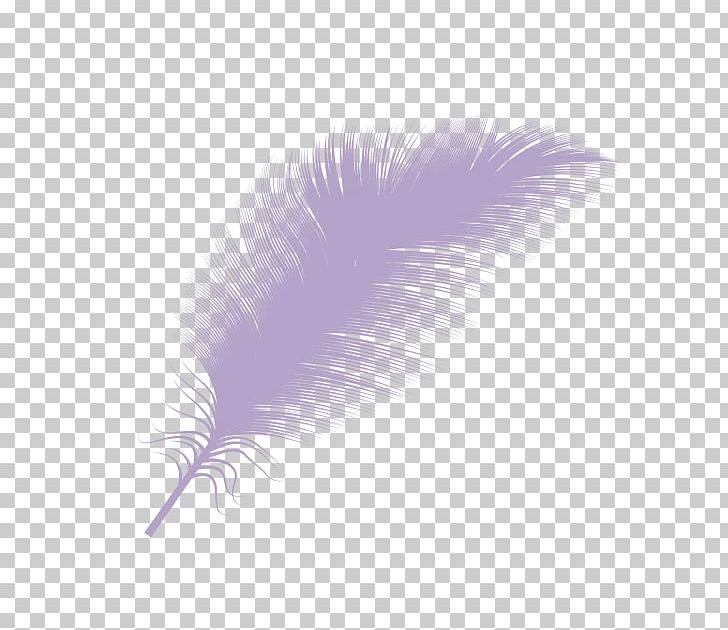 Down Feather Goose PNG, Clipart, Animals, Black And White, Closeup, Down Feather, Download Free PNG Download