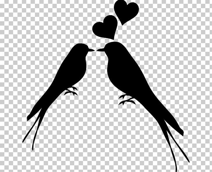 Lovebird Kiss Silhouette PNG, Clipart, Animal, Animals, Beak, Bird, Black And White Free PNG Download