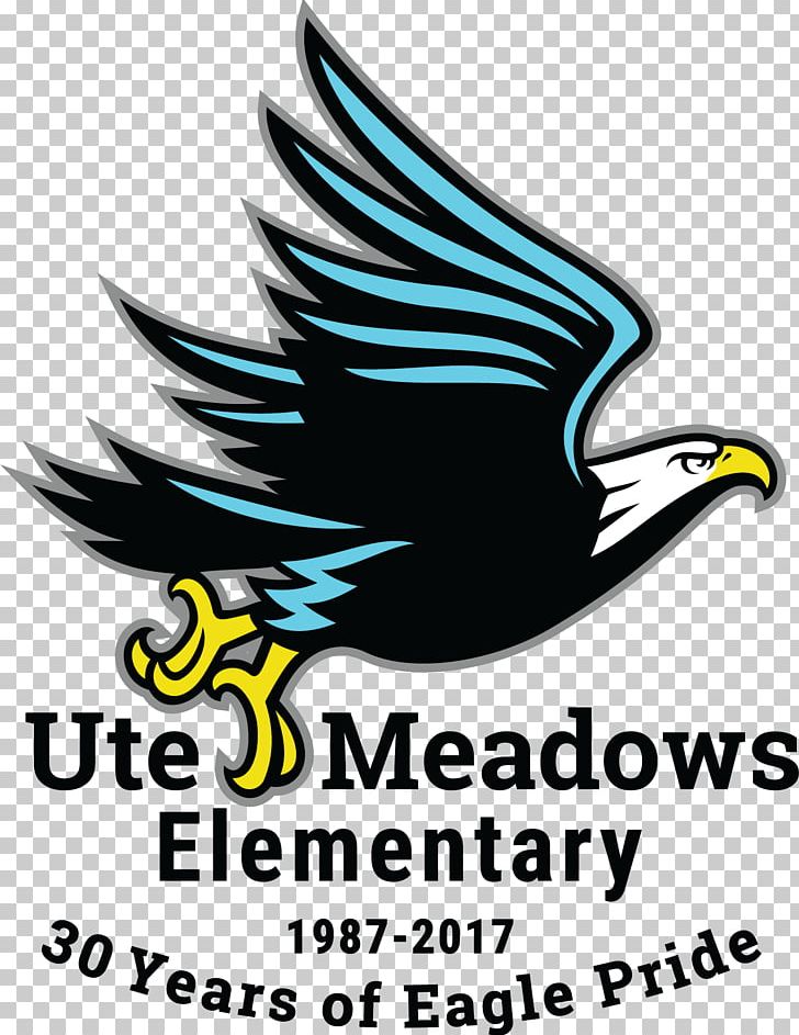 Ute Meadows Elementary School Student Middle School PNG, Clipart, 2019, Beak, Bird, Bird Of Prey, Brand Free PNG Download