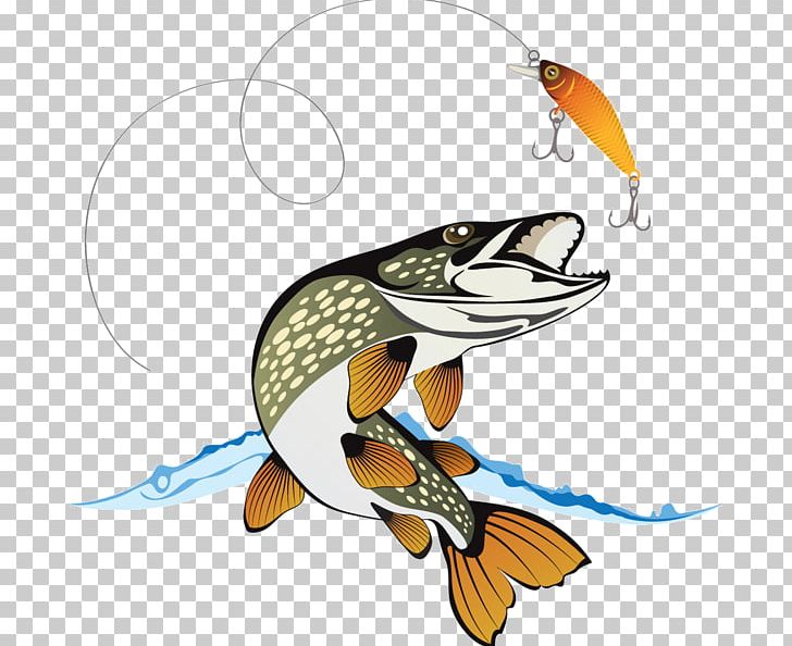 Northern Pike Stock Photography Illustration PNG, Clipart, Animals, Aquarium Fish, Beak, Cartoon, Fauna Free PNG Download