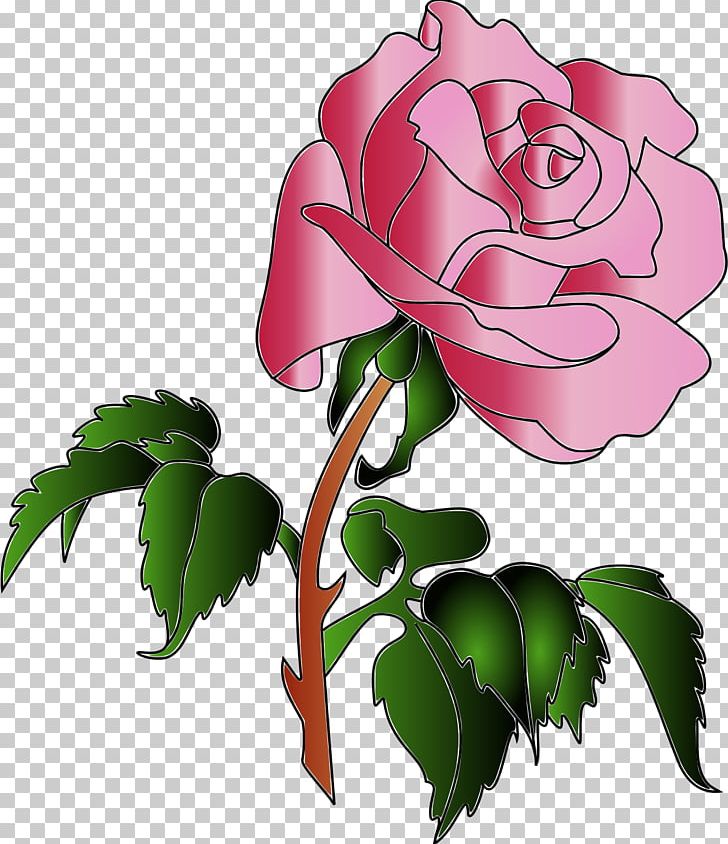 Rose Flower PNG, Clipart, Branch, Color, Cut Flowers, Desktop Wallpaper, Flora Free PNG Download