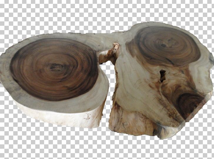 Wood /m/083vt PNG, Clipart, Coffee Tree, M083vt, Nature, Wood Free PNG Download