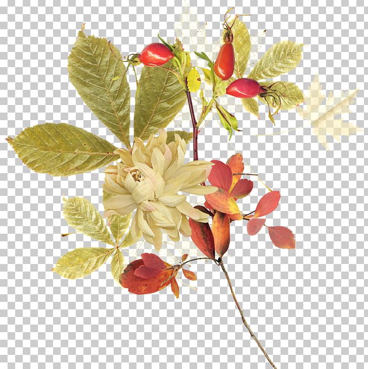 Flower Rose PNG, Clipart, Artificial Flower, Autumn, Blossom, Branch, Cut Flowers Free PNG Download