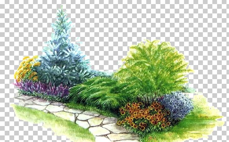 Landscape Design Bedding Garden Landscaping PNG, Clipart, Bedding, Conifer, Evergreen, Exterieur, Fir Free PNG Download