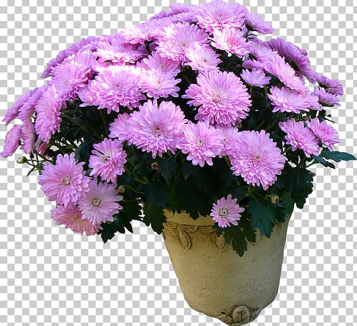 Flower Bouquet Holiday Daytime Woman PNG, Clipart, Annual Plant, Aster, Chrysanthemum, Chrysanths, Cut Flowers Free PNG Download