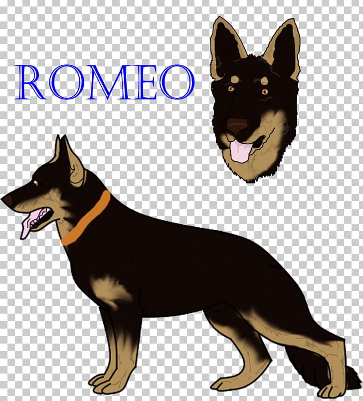 German Shepherd Kunming Wolfdog Lapponian Herder Australian Kelpie Dog Breed PNG, Clipart, Australian Kelpie, Breed, Carnivoran, Dog, Dog Breed Free PNG Download