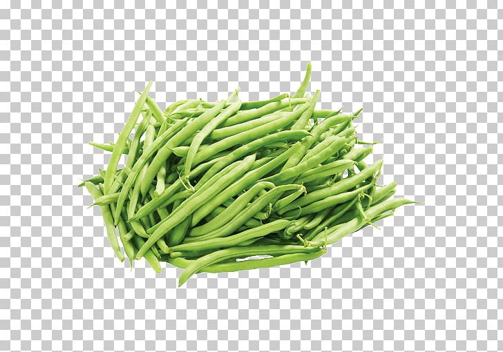 Green Bean Vegetable Pea PNG, Clipart, Bean, Beans, Blackeyed Pea, Chili Con Carne, Commodity Free PNG Download