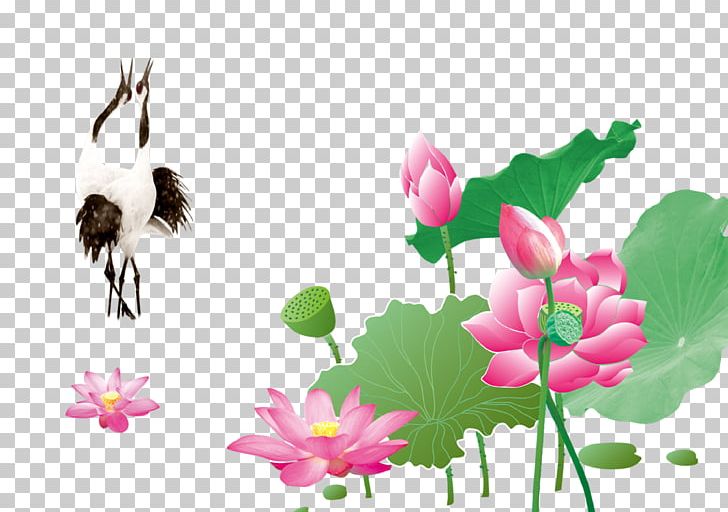 Photography Nelumbo Nucifera Chinoiserie Fukei PNG, Clipart, Arts, Bee, Color, Computer Wallpaper, Crane Free PNG Download