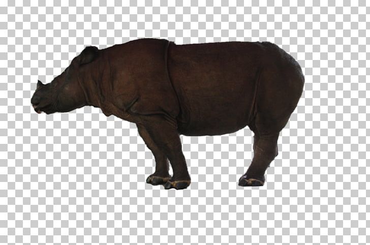 Rhinoceros Cattle Horn Mammal Terrestrial Animal PNG, Clipart, Animal, Animal Figure, Cattle, Cattle Like Mammal, Copy Free PNG Download