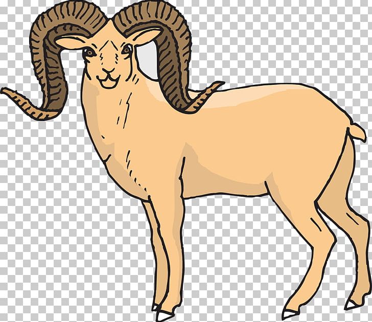 Desert Bighorn Sheep Dall Sheep PNG, Clipart, Animals, Argali, Barbary Sheep, Bighorn River, Bighorn Sheep Free PNG Download