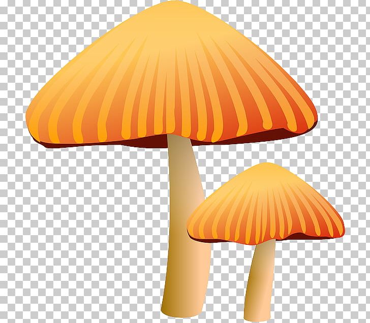 Mushroom Morchella Fungus PNG, Clipart, Art, Blog, Common Mushroom, Computer Icons, Food Free PNG Download