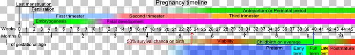 Pregnancy Gestational Age Childbirth Abortion Woman PNG, Clipart, Abortion, Angle, Child, Childbirth, Estimated Date Of Confinement Free PNG Download