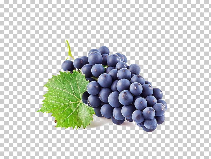 Common Grape Vine Wine Juice Berry PNG, Clipart, Bilberry, Black, Black Background, Black Board, Black Border Free PNG Download