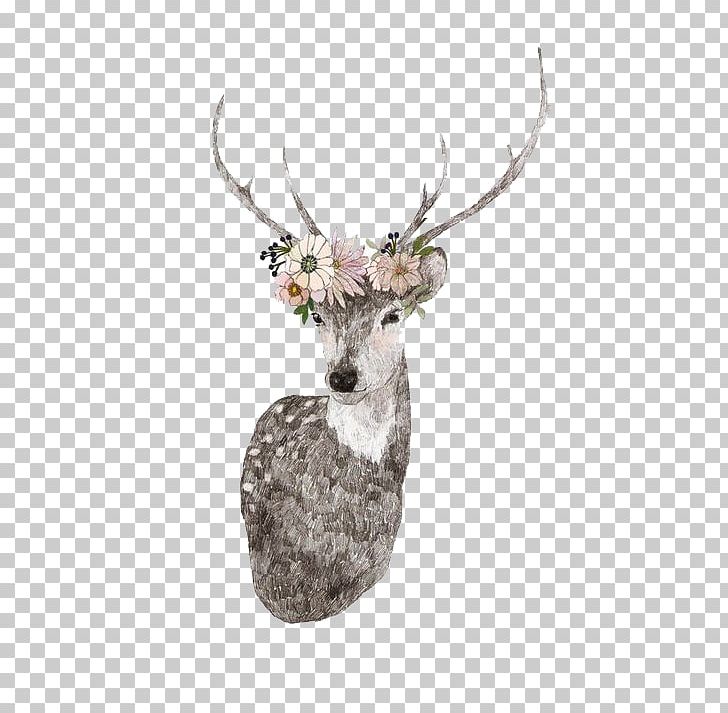 Deer Drawing Moose Elk Illustration PNG, Clipart, Animals, Antler, Art, Christmas Decoration, Christmas Deer Free PNG Download