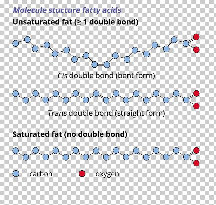 Fatty Acid Unsaturated Fat Saturated And Unsaturated Compounds Chemistry PNG, Clipart, Acid, Acylcoa, Area, Beta Oxidation, Blue Free PNG Download