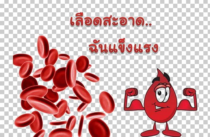 Red Blood Cell White Blood Cell Hematologic Disease PNG, Clipart, Anticoagulant, Area, Blood, Blood Cell, Blood Donation Free PNG Download