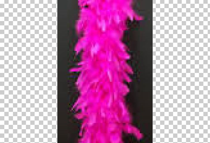 Feather Boa Bank Of America Cerise Chandelle PNG, Clipart, Animals, Bank Of America, Cerise, Chandelle, Feather Free PNG Download