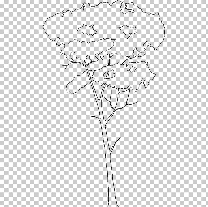 Floral Design Cut Flowers Leaf Plant Stem Petal PNG, Clipart, Area, Artwork, Black, Black And White, Branch Free PNG Download