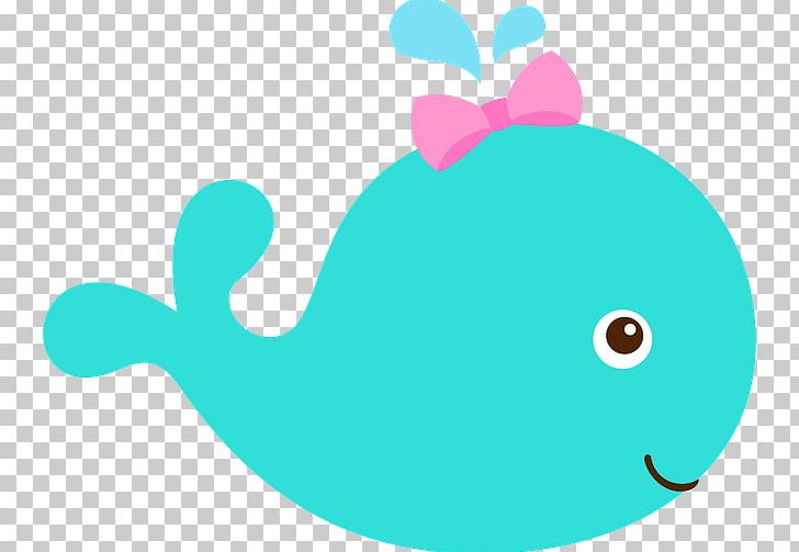 Infant Whale PNG, Clipart, Animal, Animals, Aqua, Aquatic Animal, Baby Shower Free PNG Download