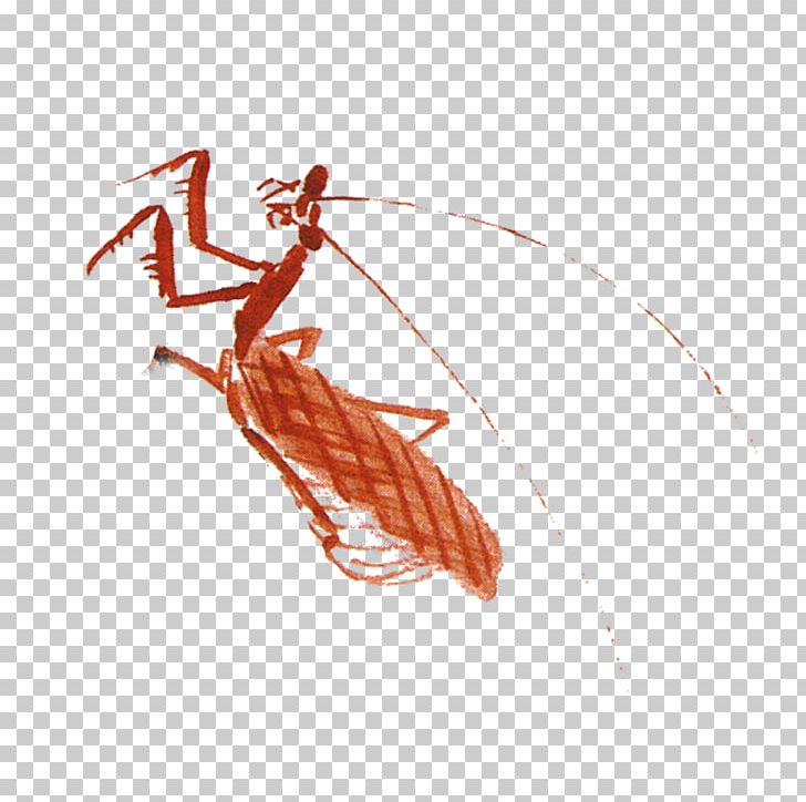 Insect Mantis Euclidean PNG, Clipart, Abstract Pattern, Animals, Arm, Christmas Decoration, Decoration Free PNG Download