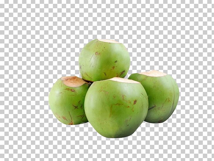 Tender Coconut Wholesale King Coconut Coimbatore PNG, Clipart, Background Green, Coconut, Food, Frozen Food, Fruit Free PNG Download
