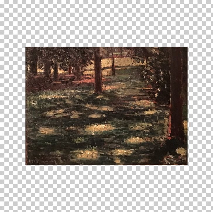 Woodland Landscape Sunlight Painting PNG, Clipart, Forest, Grass, Landscape, M083vt, Nature Free PNG Download