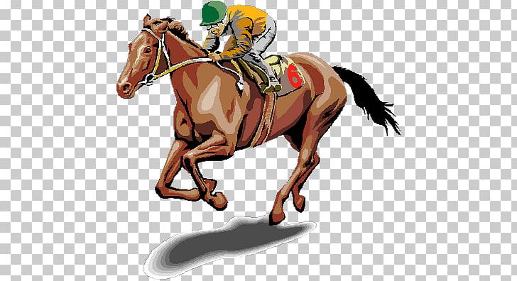 Horse Racing Belmont Stakes Gulfstream Park PNG, Clipart, Animals, Belmont Park, Belmont Stakes, Betting Strategy, Cowboy Free PNG Download