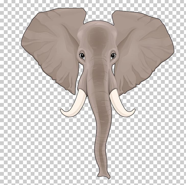 Indian Elephant African Elephant Nose PNG, Clipart, Animal, Cartoon, Child, Elephant, Elephants And Mammoths Free PNG Download