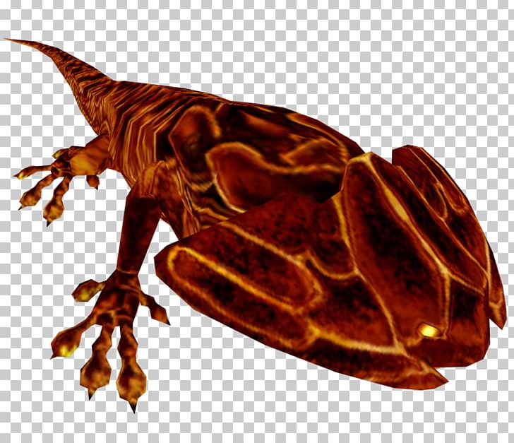 Insect Reptile Amphibians Pollinator PNG, Clipart, Amphibian, Amphibians, Animals, Goblet, Harry Free PNG Download