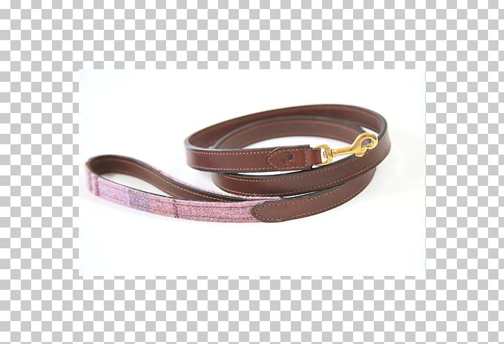 Shetland Sheep Leash Chihuahua Dog Collar Puppy PNG, Clipart, Belt, Belt Buckle, Brown, Buckle, Chihuahua Free PNG Download