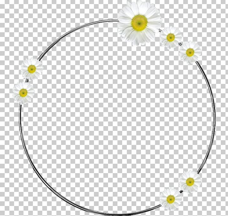 Chamomile Computer Icons PNG, Clipart, Animation, Chamomile, Computer , Cut Flowers, Download Free PNG Download