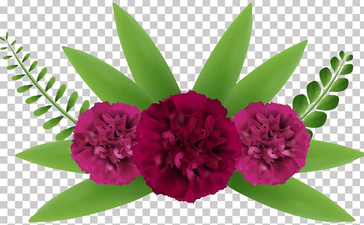 Flower PNG, Clipart, Art, Beautiful, Beautiful Flowers, Clip, Download Free PNG Download