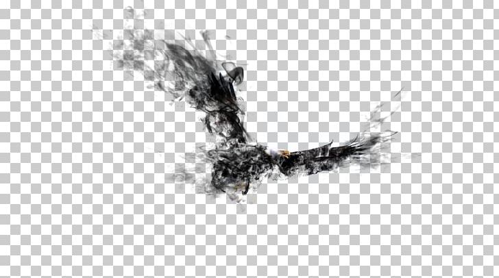Ink Hawk PNG, Clipart, Animals, Bald Eagle, Black And White, Brand, Cartoon Eagle Free PNG Download