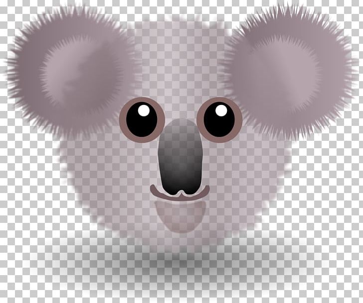 Koala Bear Wombat PNG, Clipart, Animals, Bear, Carnivoran, Cartoon, Cuteness Free PNG Download