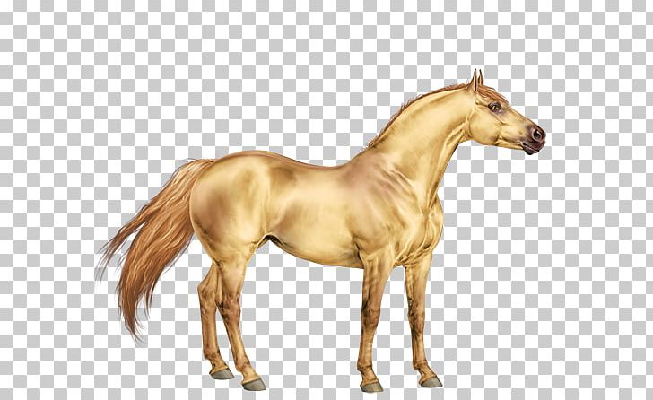 Mustang Appaloosa Pony Mane Stallion PNG, Clipart, Animal Figure, Appaloosa, Breed, Colt, Dun Locus Free PNG Download